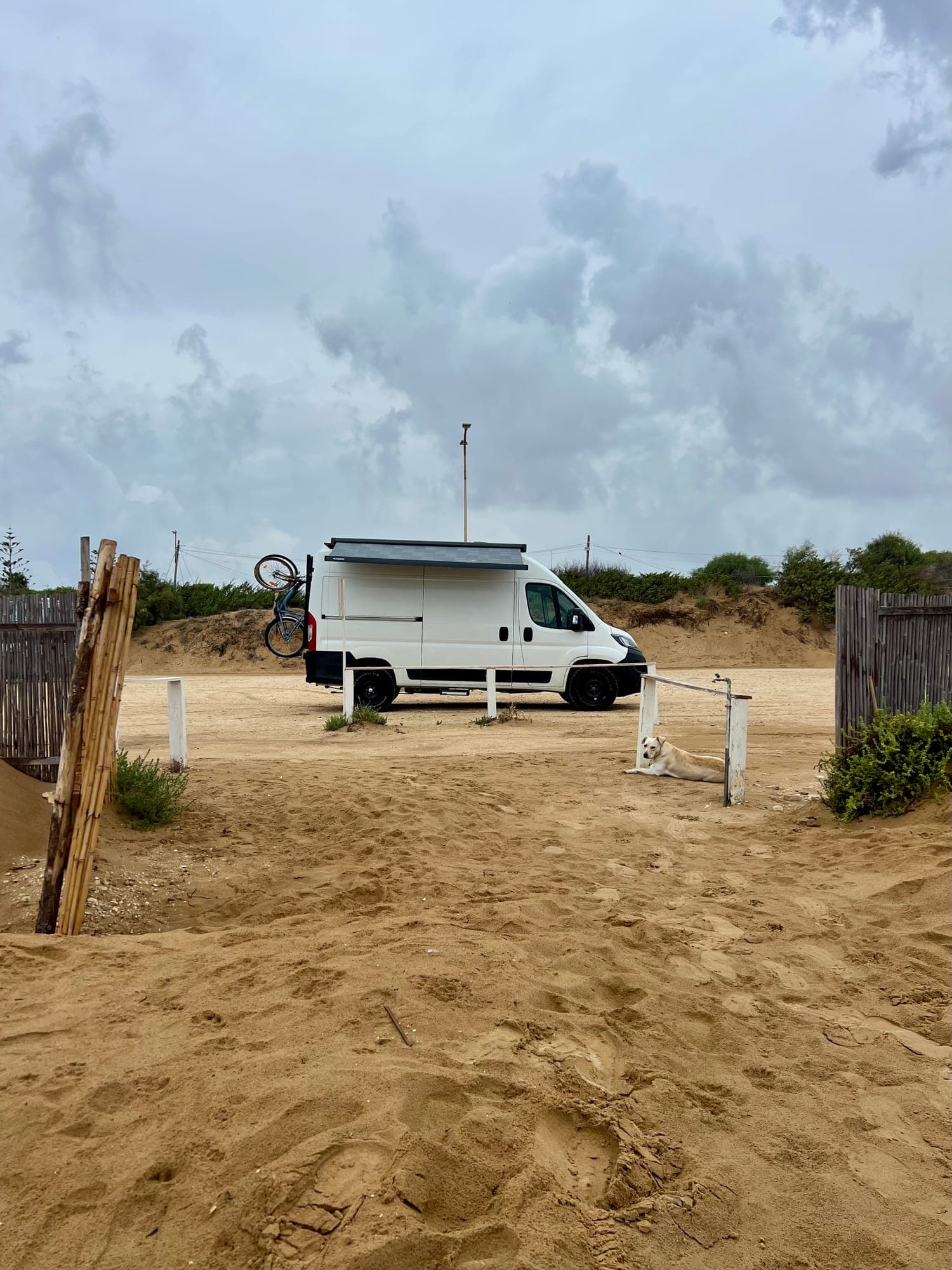 SVAN 01 Campervan am Strand mit Hund